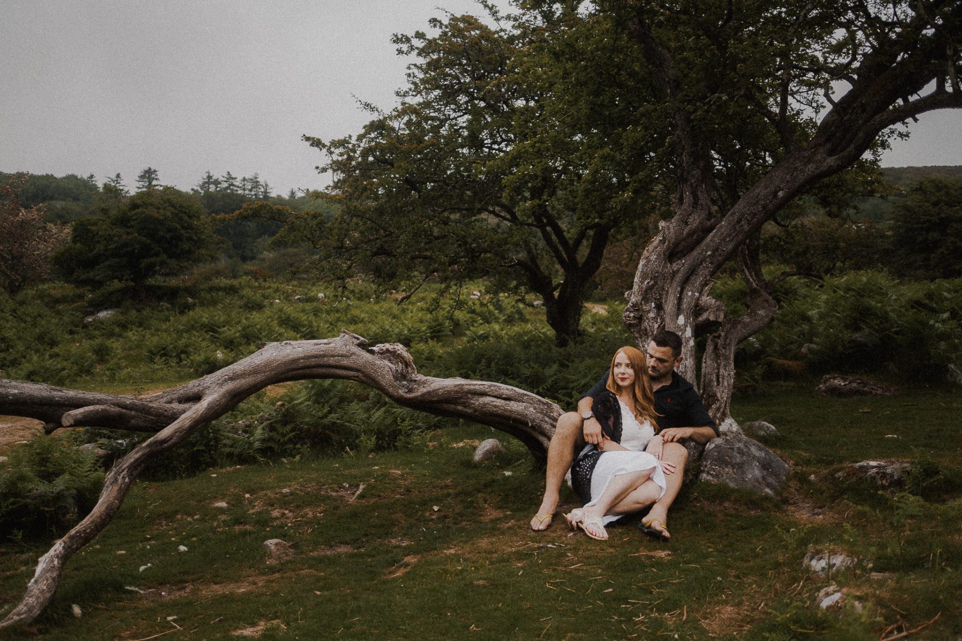 A couple sits on a fallen tree during their engagement session.